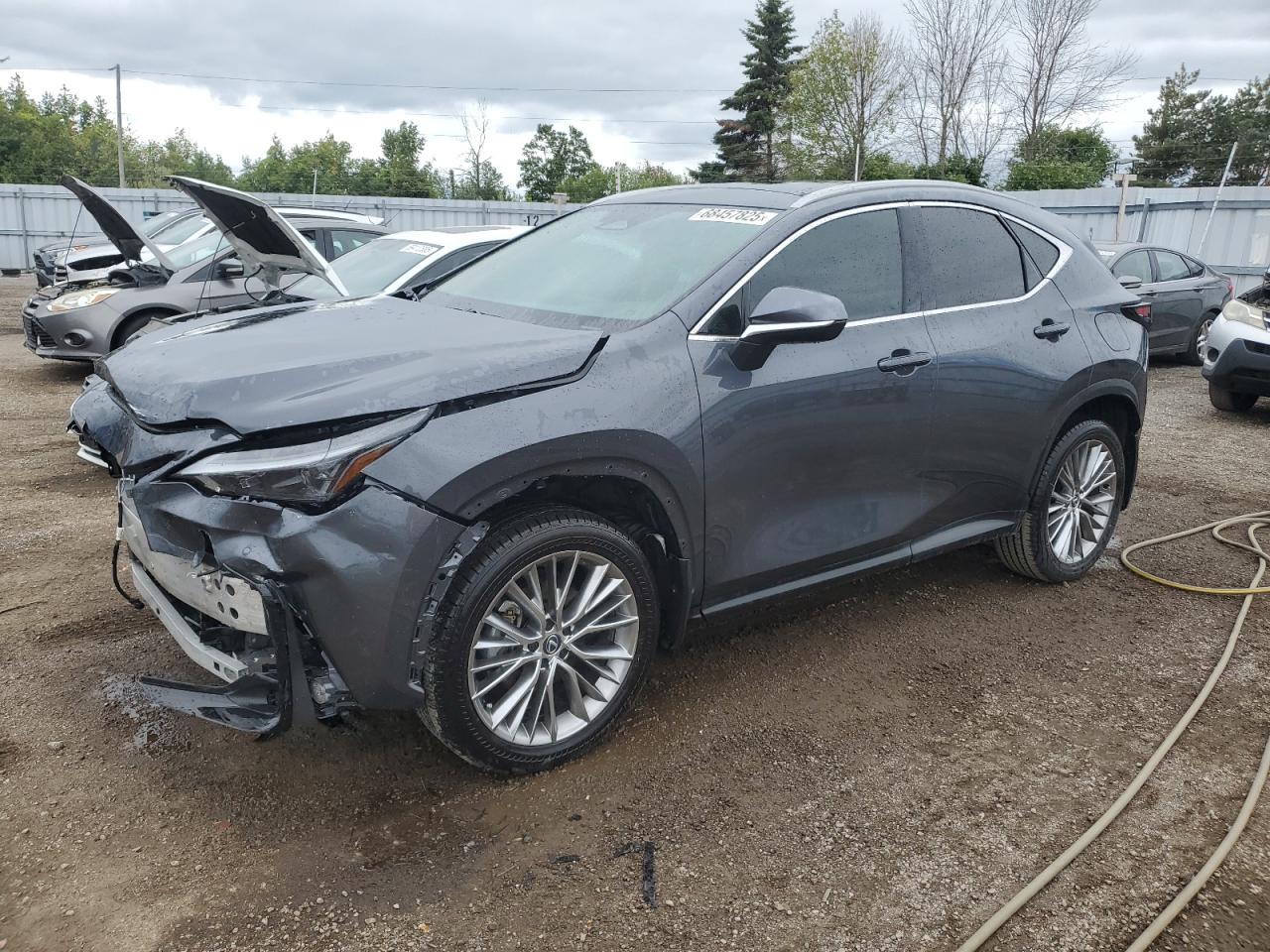 2025 Lexus Nx 350 pre 350 PREMIUM