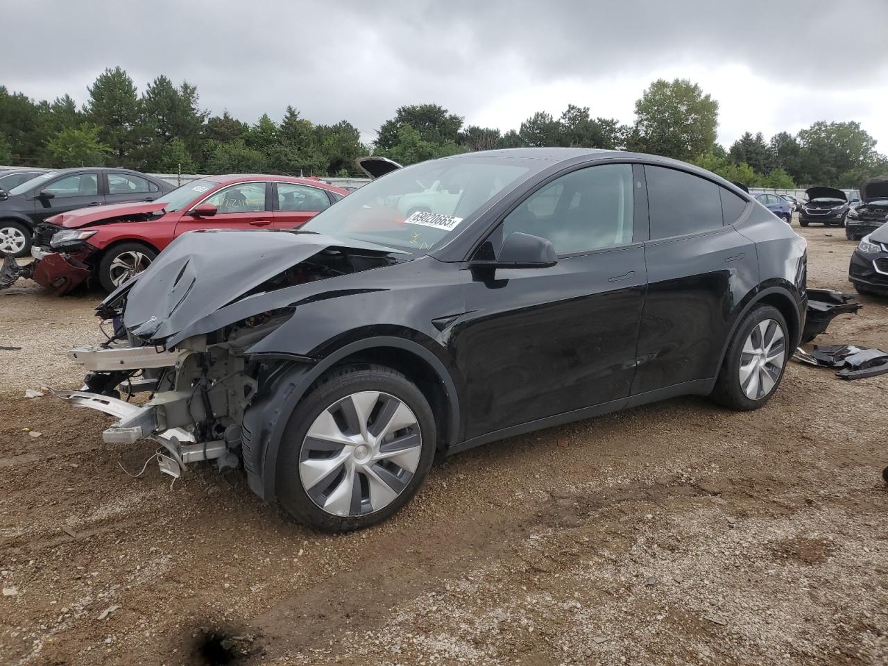 2023 Tesla Model y