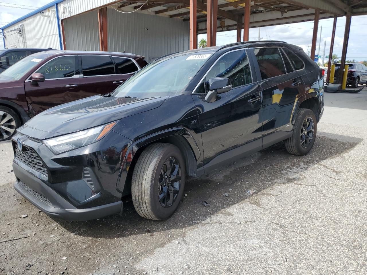 2023 Toyota Rav4 xle XLE