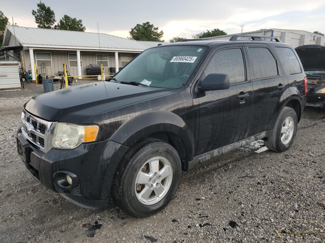 2011 Ford Escape xlt XLT