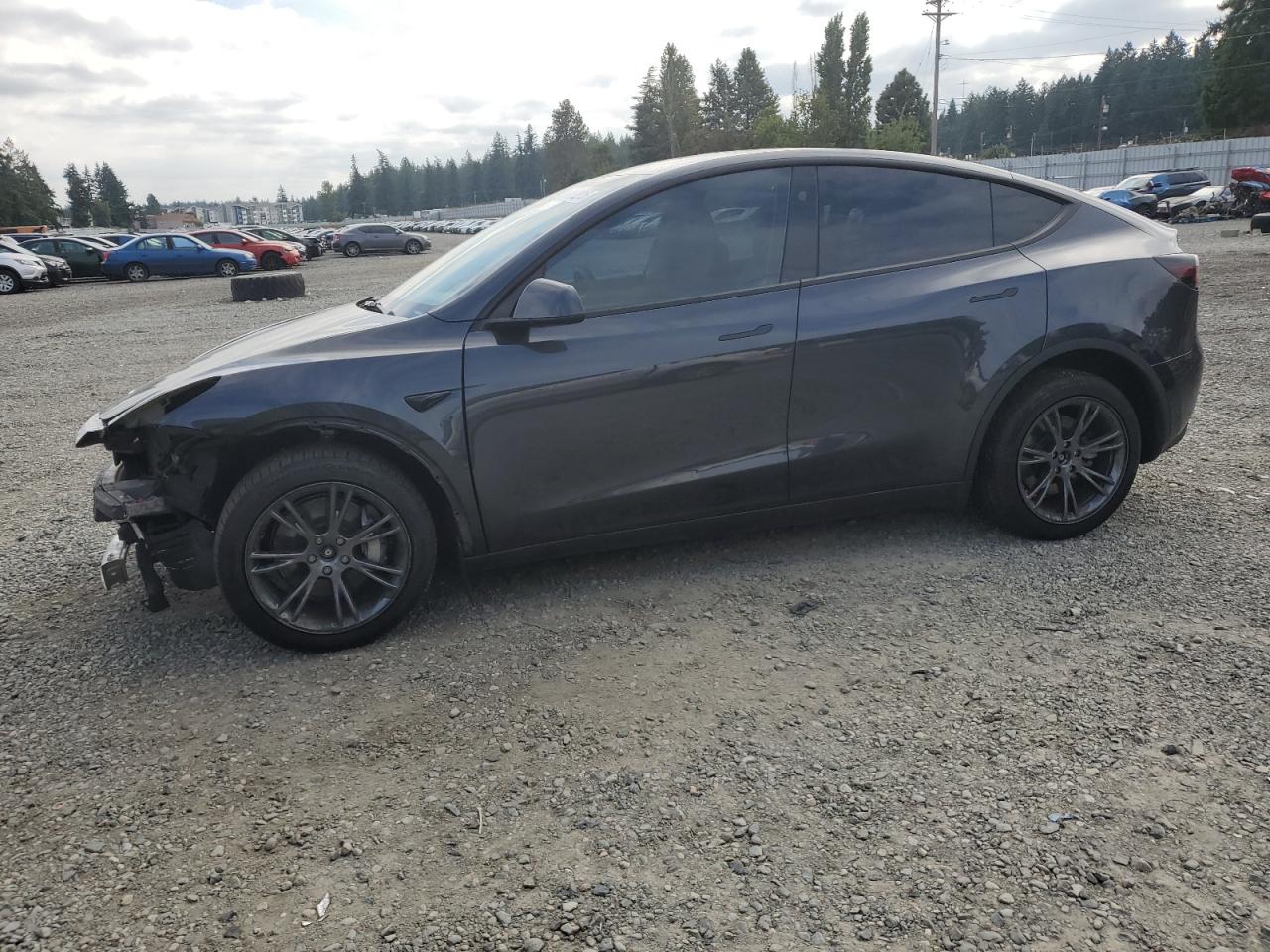 2025 Tesla Model y