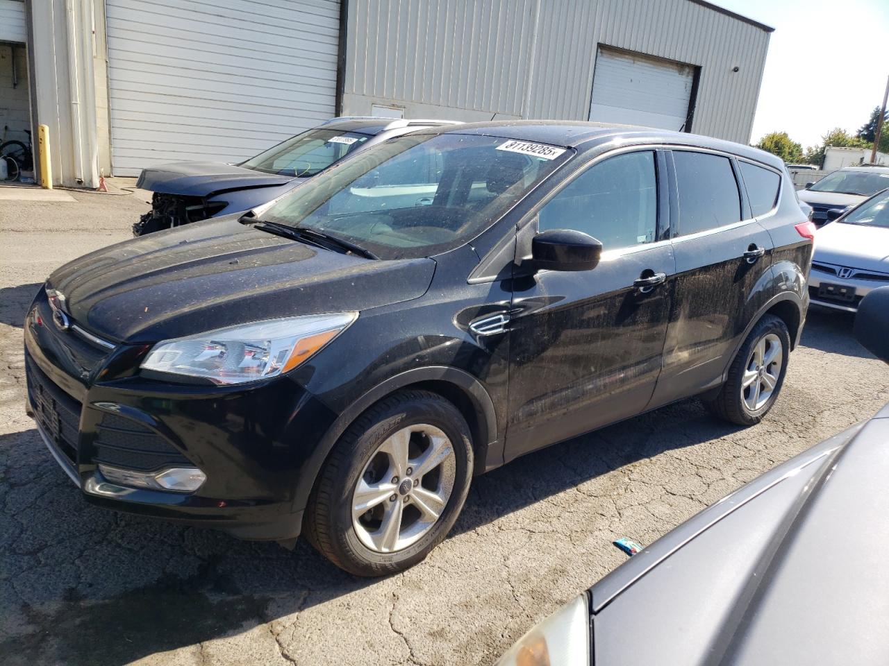 2014 Ford Escape se SE