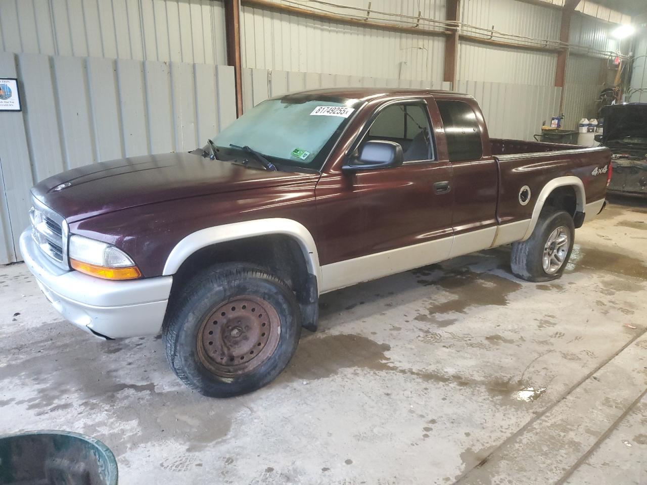 2004 Dodge Dakota slt SLT