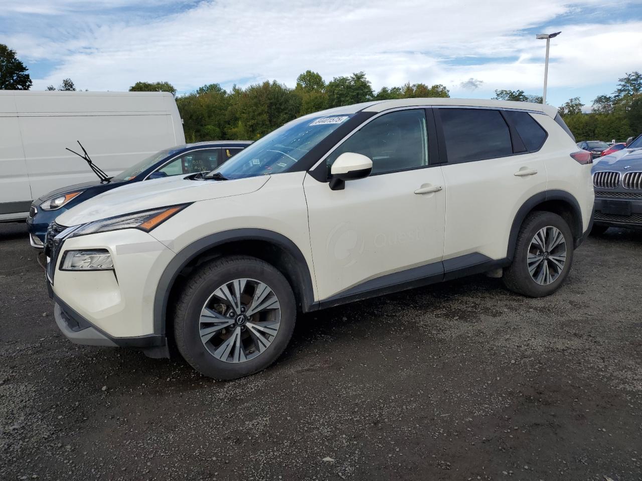 Niss Rogue sv