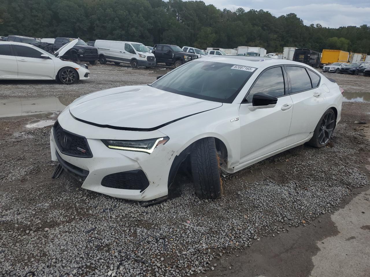 2023 Acura Tlx Type S