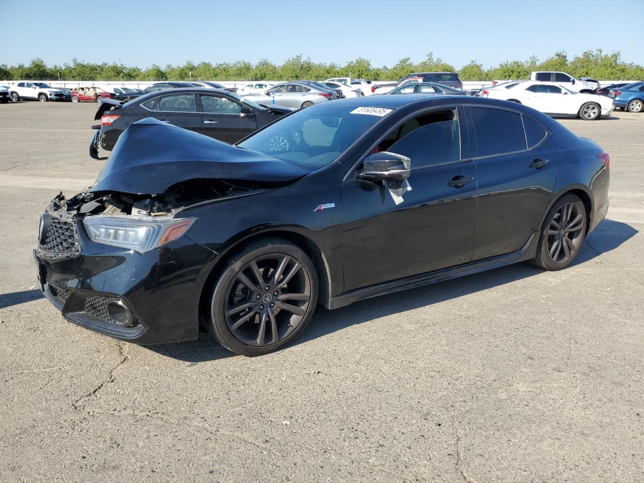 2019 Acura TLX