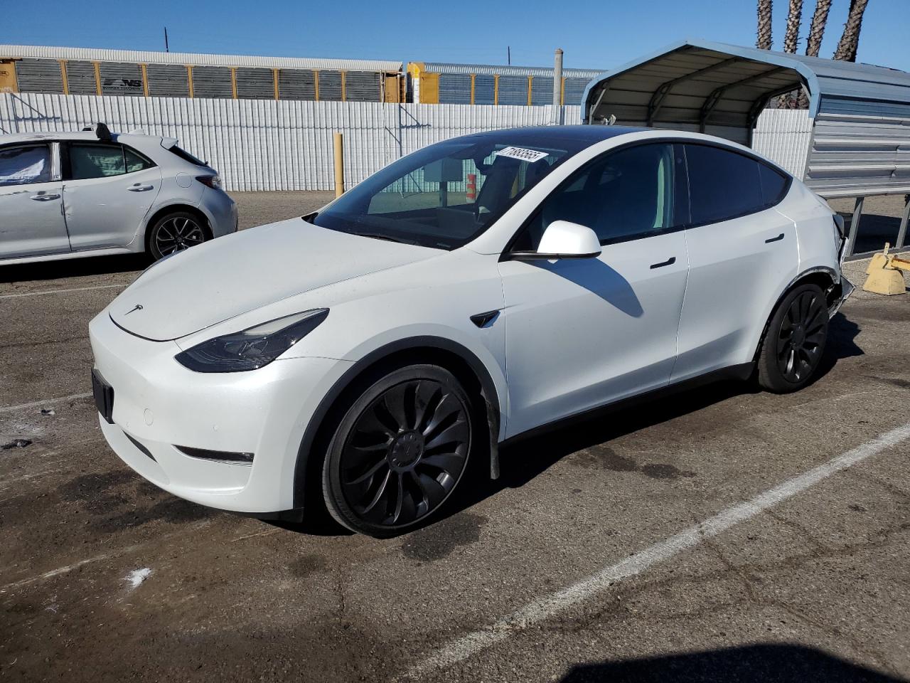 2022 Tesla Model y