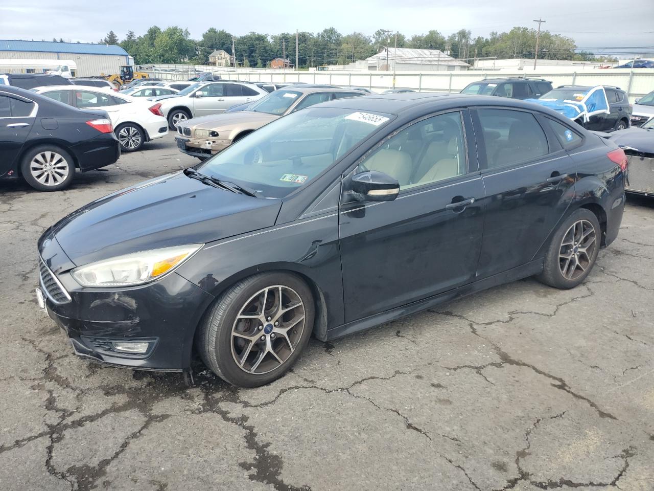 2015 Ford Focus se SE