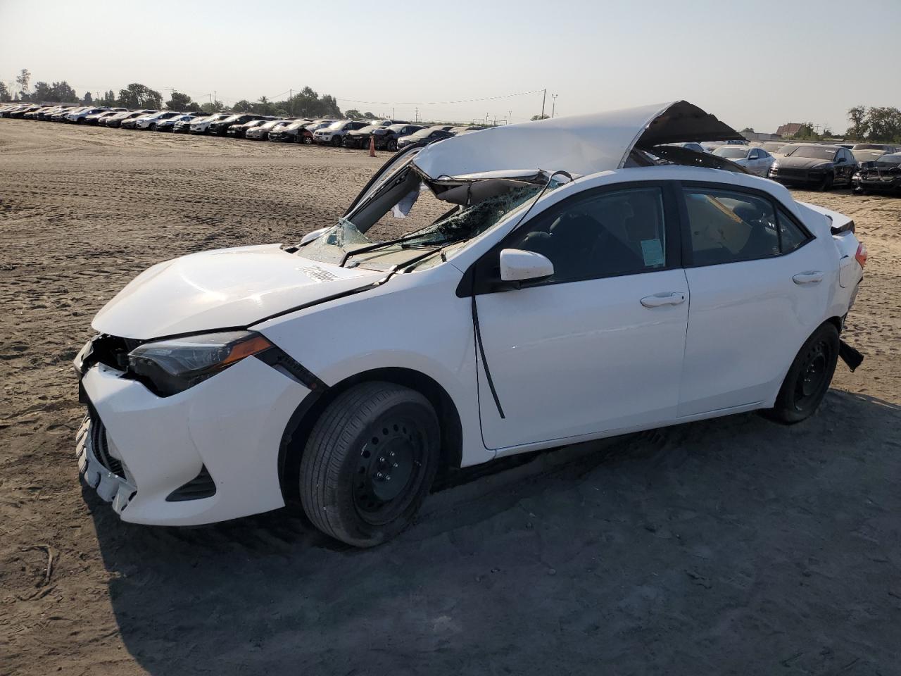 2019 Toyota Corolla l L