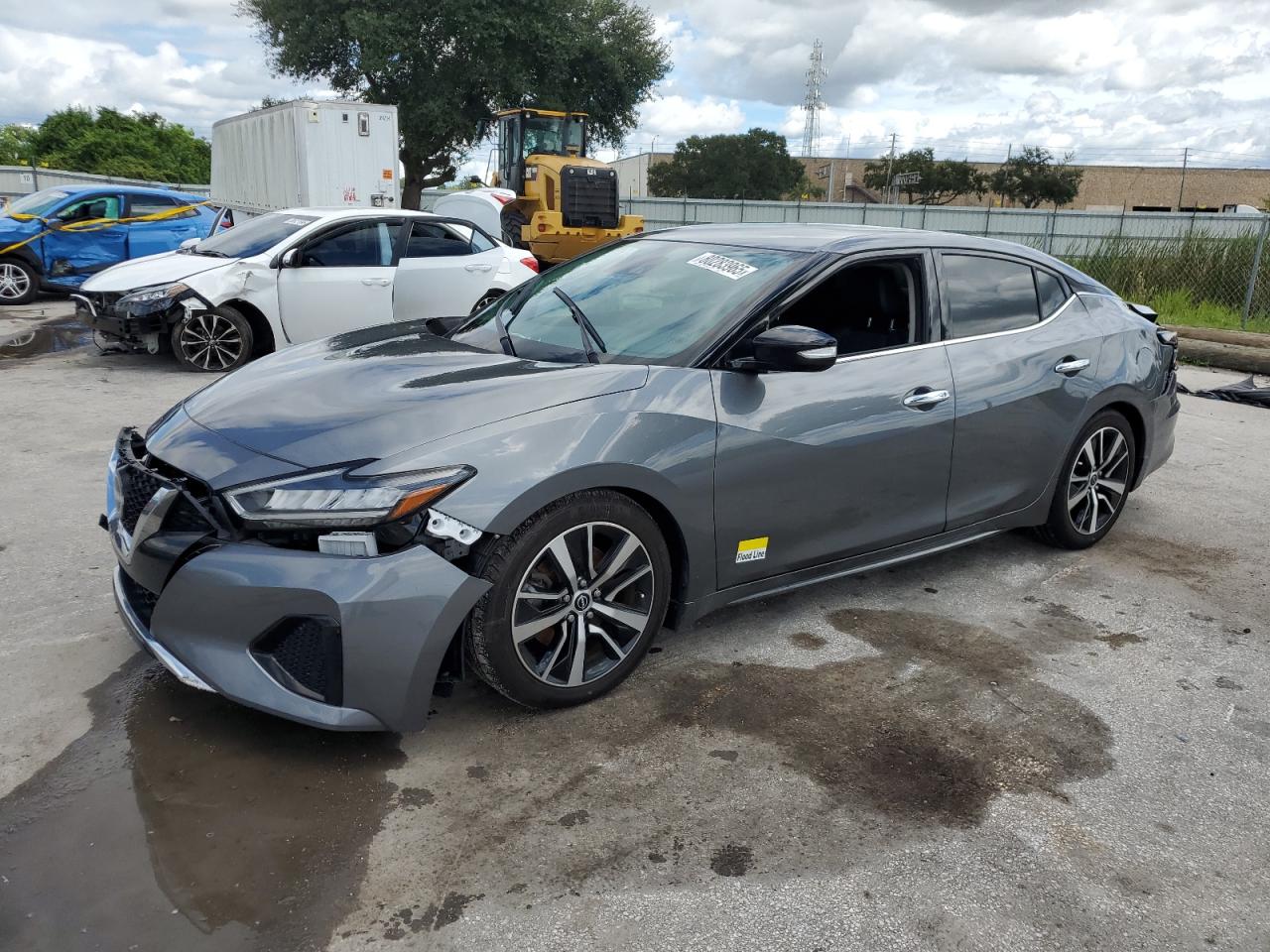 2023 Nissan Maxima sv SV