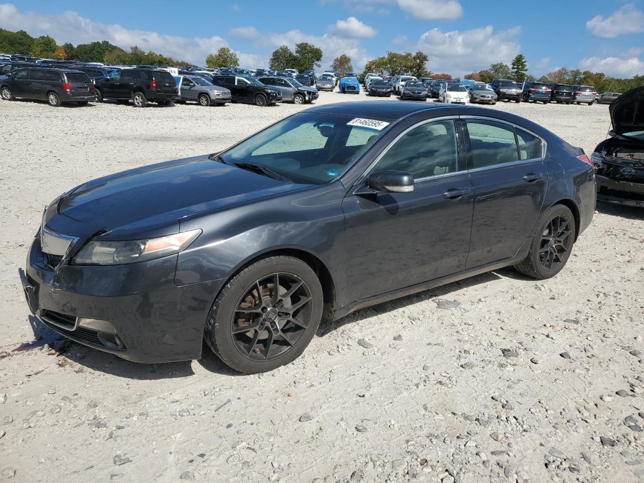 2013 Acura TL