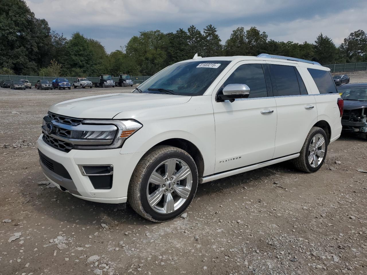 Ford Expedition platinum
