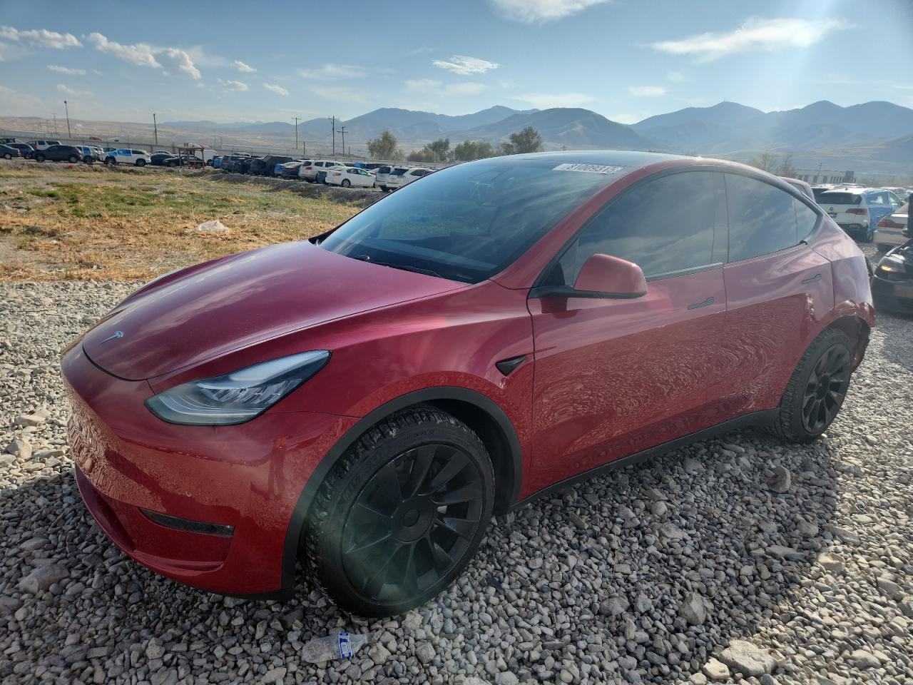 2020 Tesla Model y