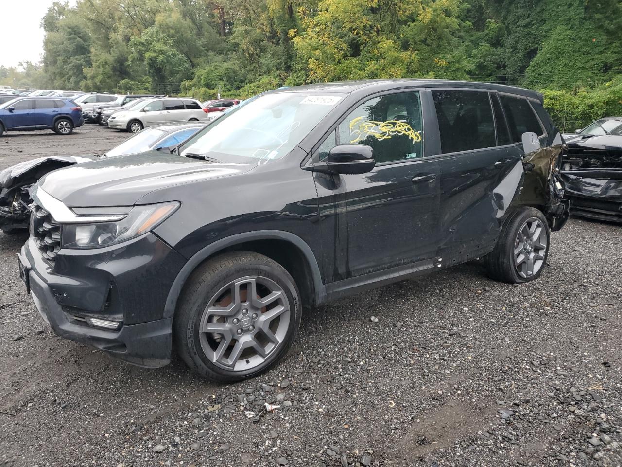 Honda Passport