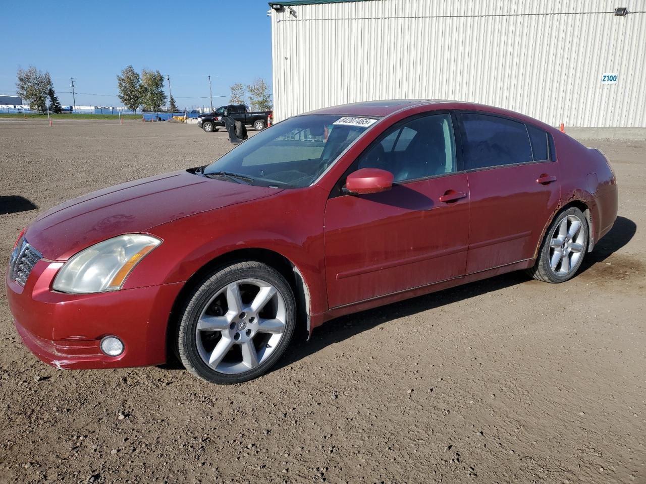 2005 Nissan Maxima se SE