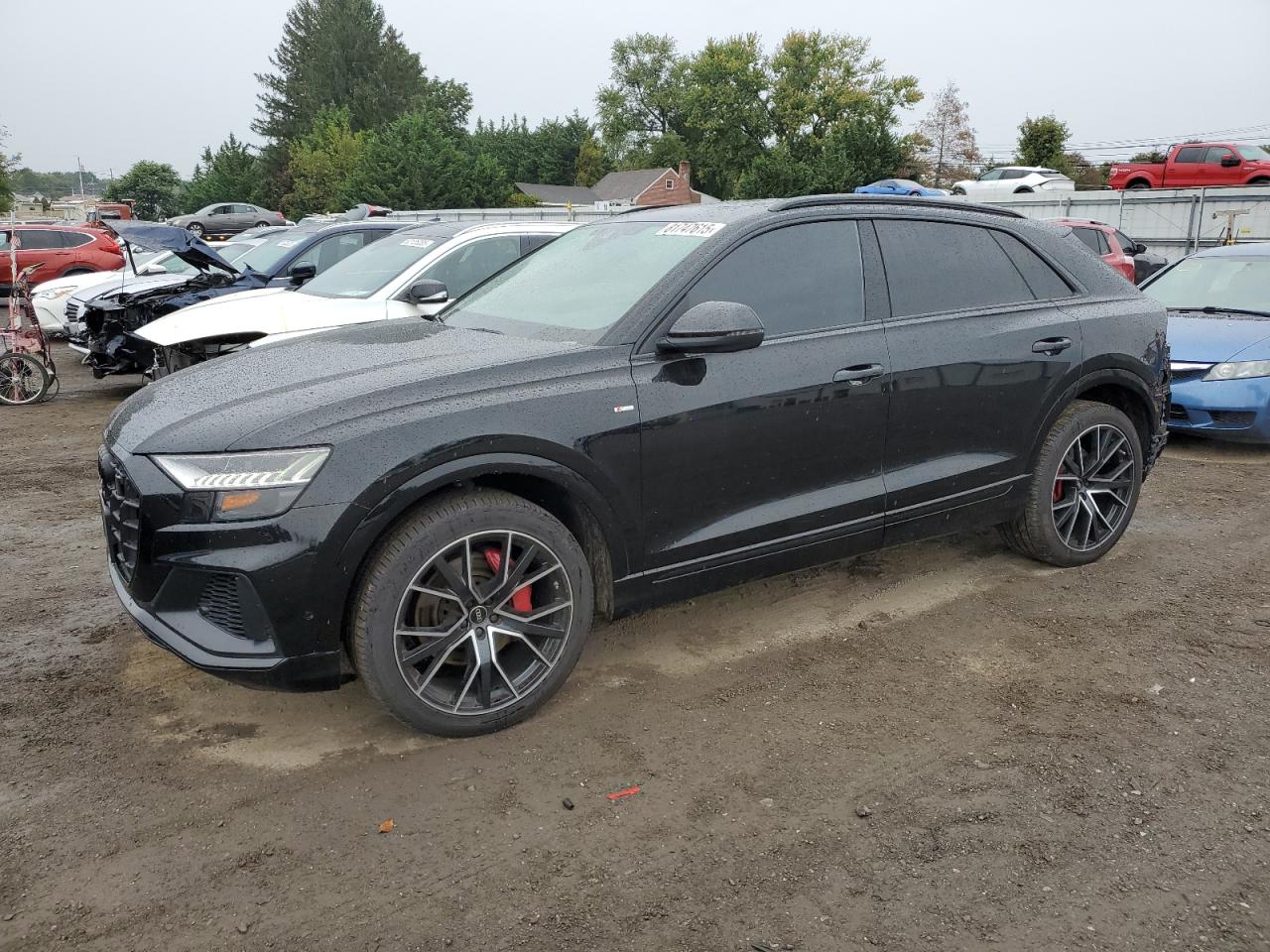 2023 Audi Q8