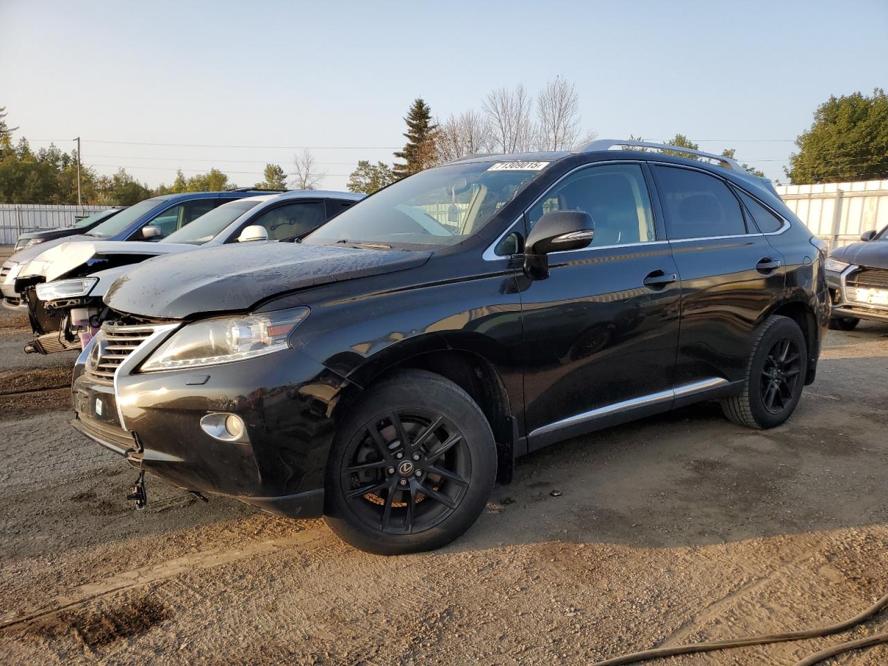 2013 Lexus Rx 350 bas 350 BASE