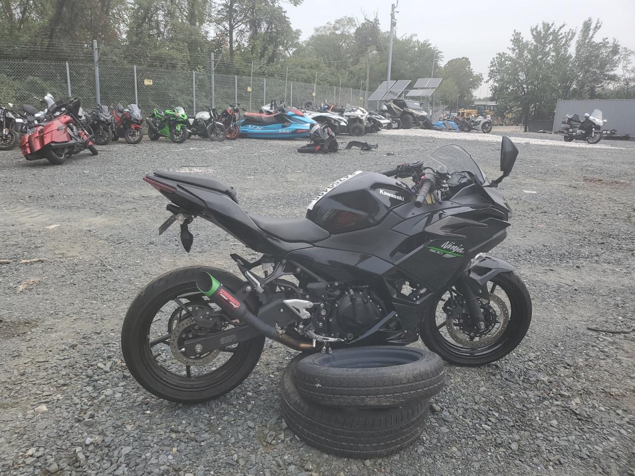2024 Kawasaki Ex500