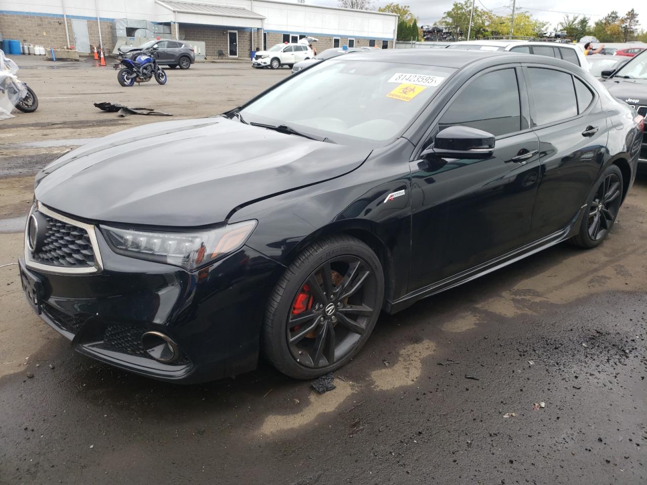 2019 Acura TLX