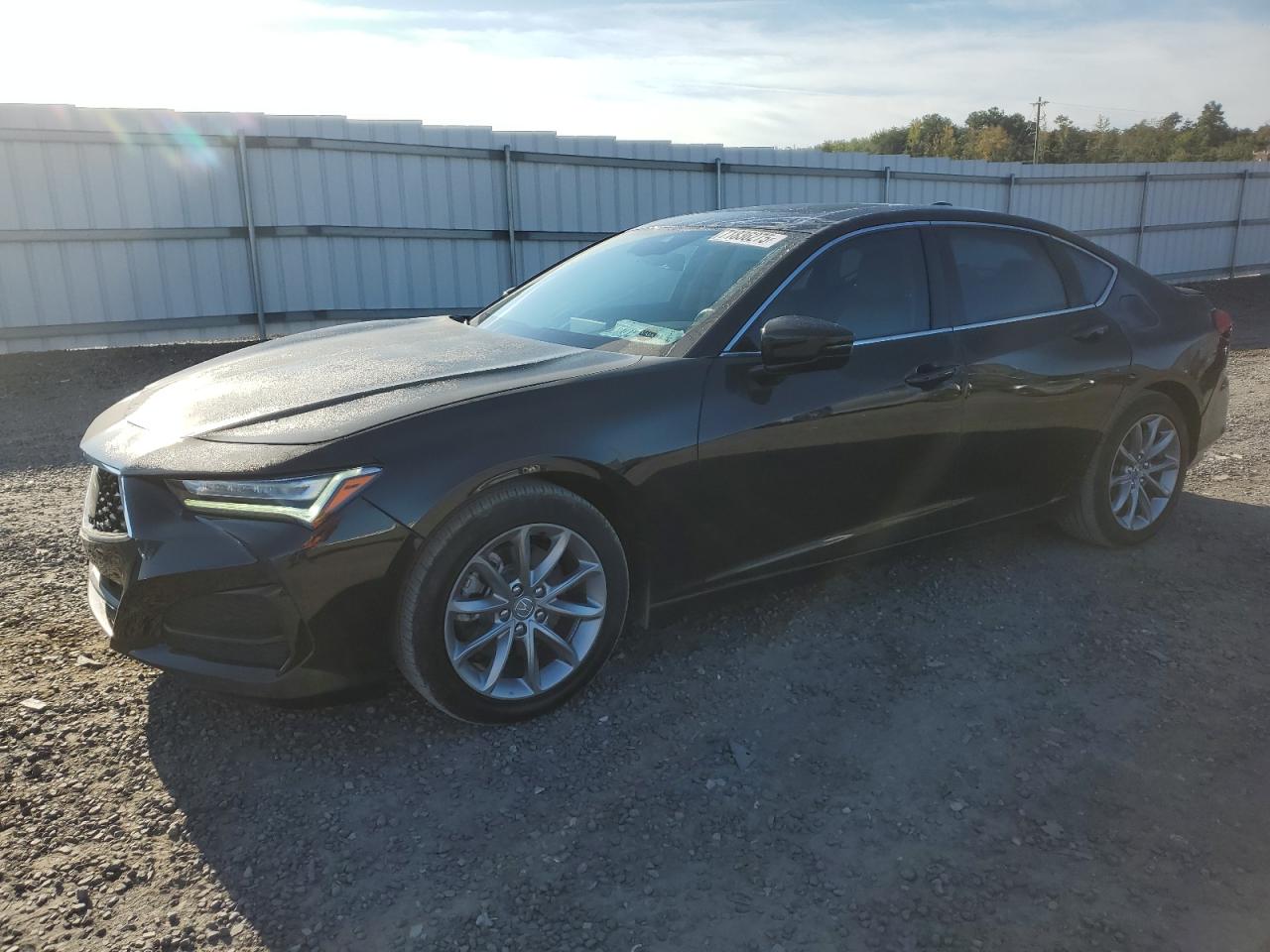 2022 Acura TLX