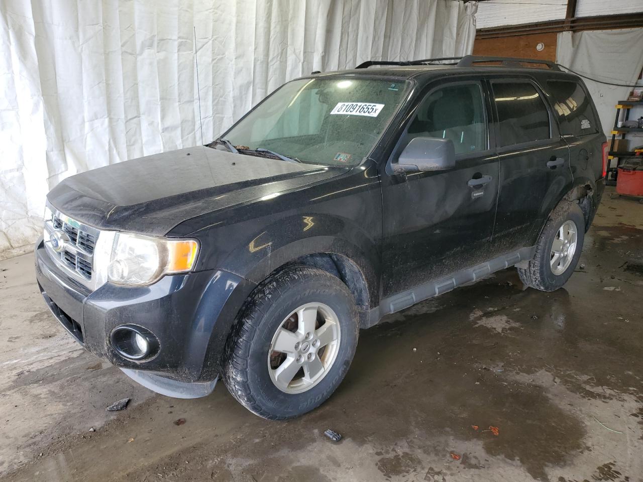 2012 Ford Escape xlt XLT