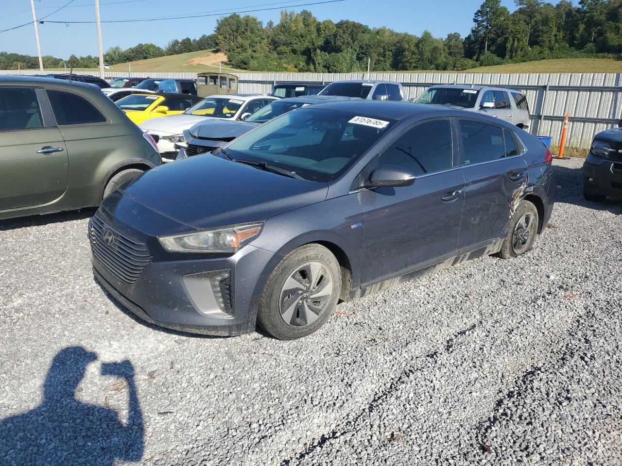 2019 Hyundai Ioniq Sel