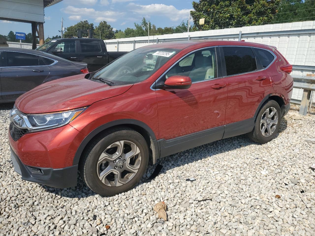 2019 Honda Cr-v exl EXL