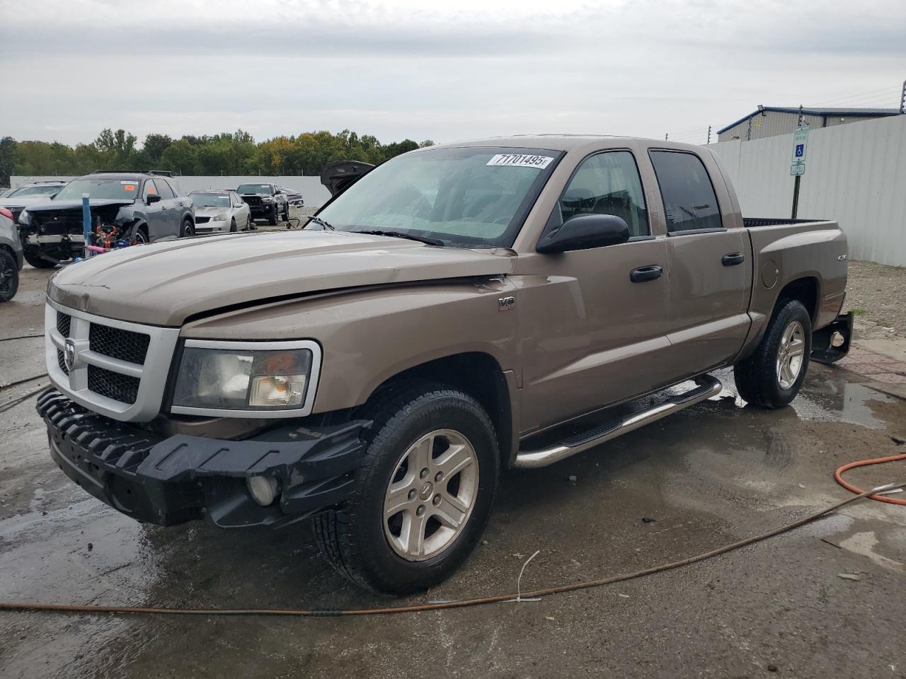 2010 Dodge Dakota sxt SXT