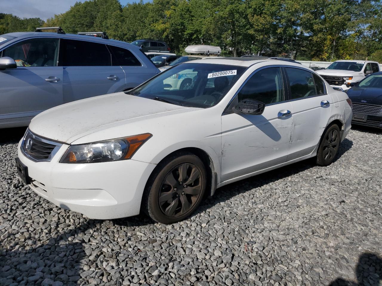 2010 Honda Accord ex EX