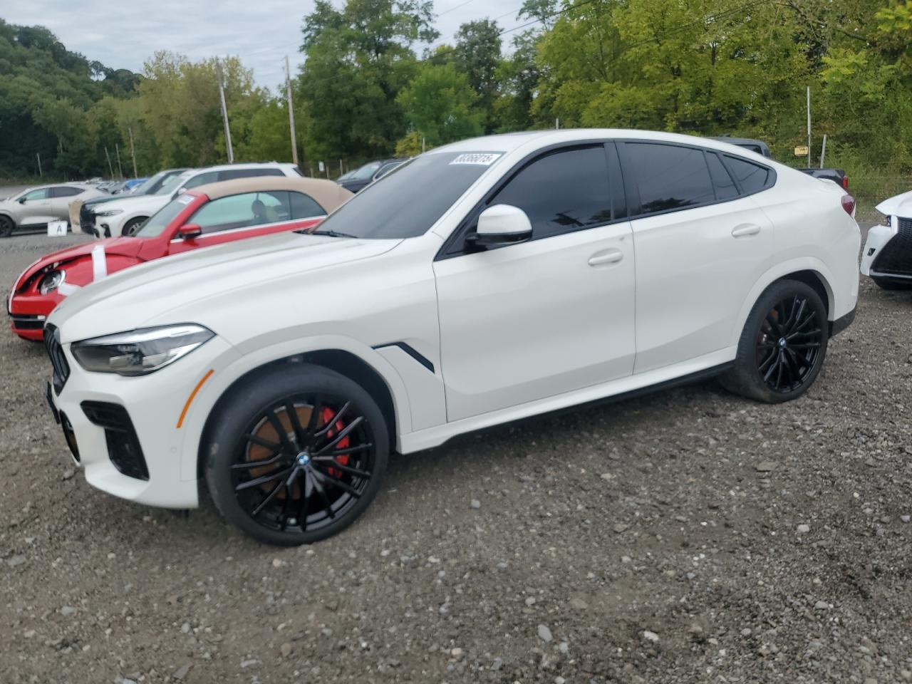 2022 BMW X6