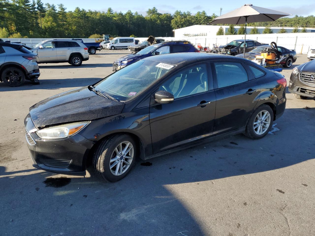 2015 Ford Focus se SE