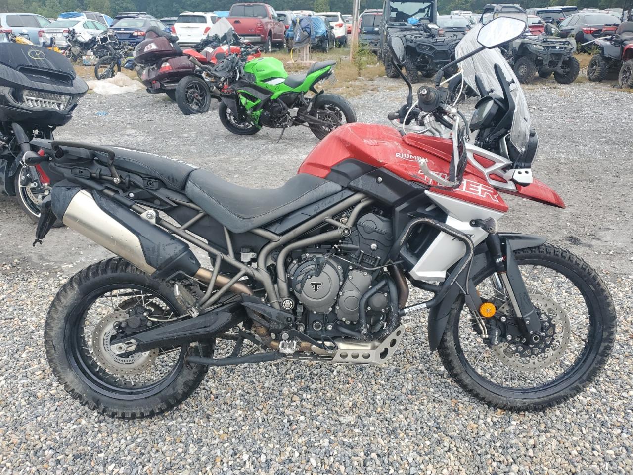 Triumph motorcycle Tiger 800