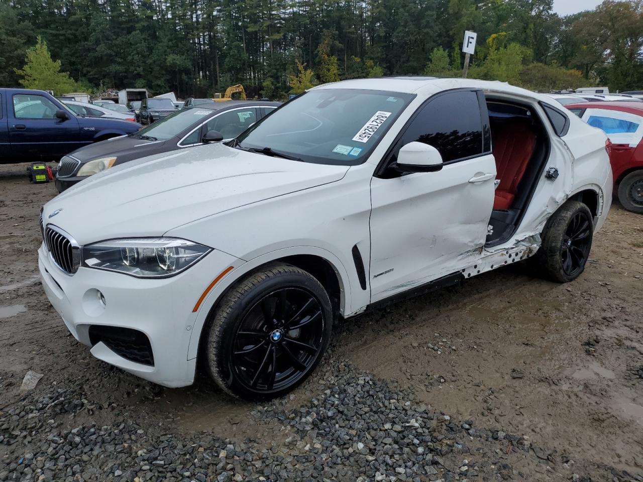 2019 BMW X6