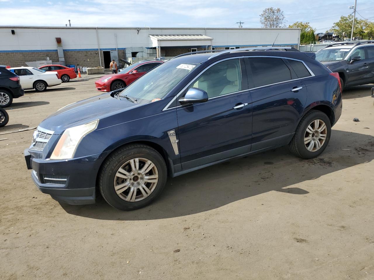 2011 Cadillac Srx luxury LUXURY COLLECTION