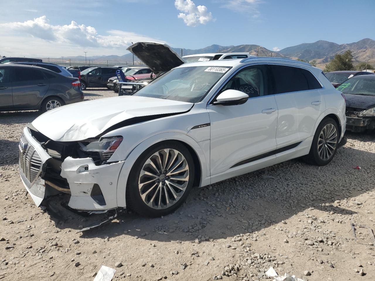 2019 Audi e-tron