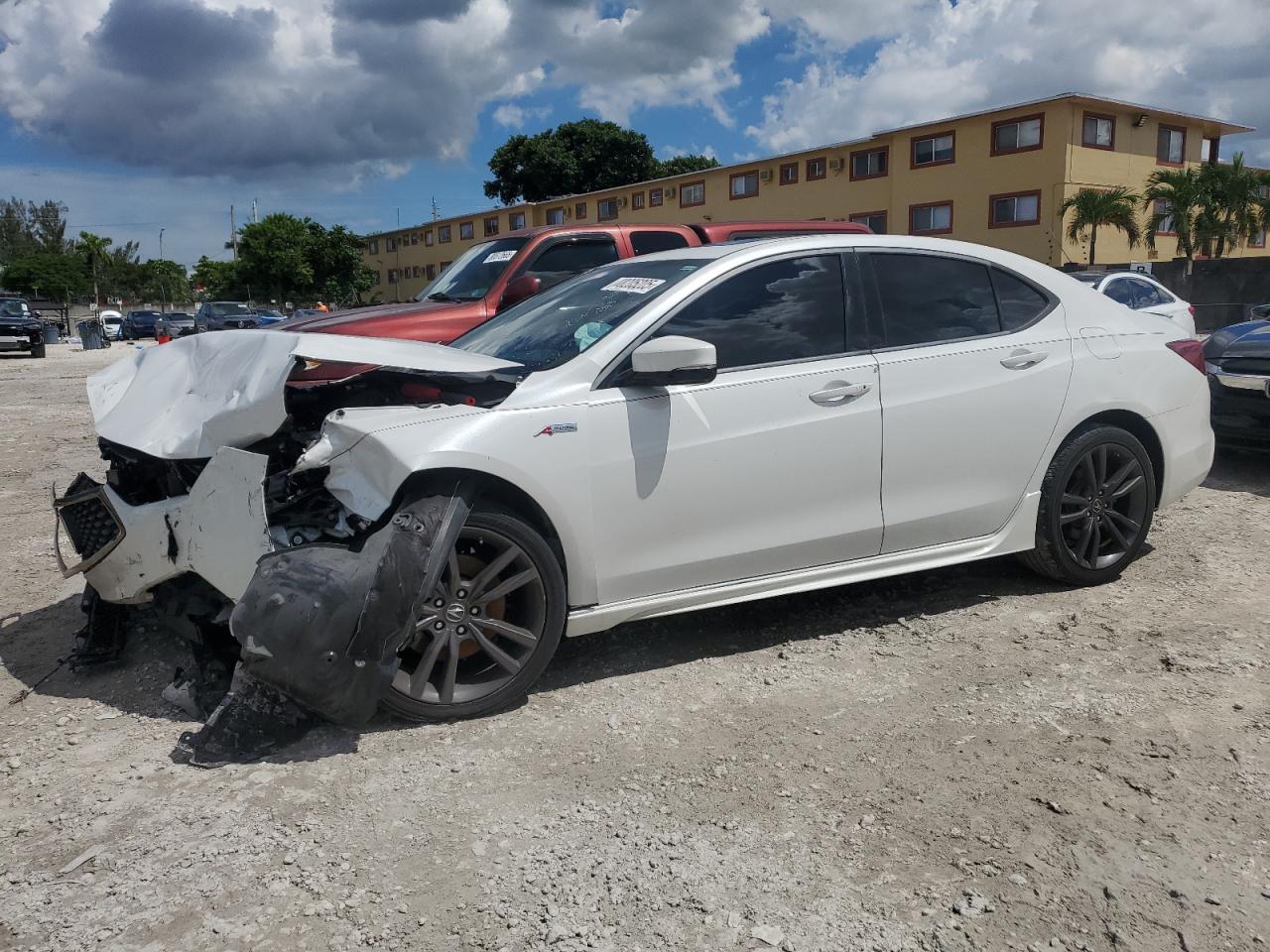 2019 Acura TLX