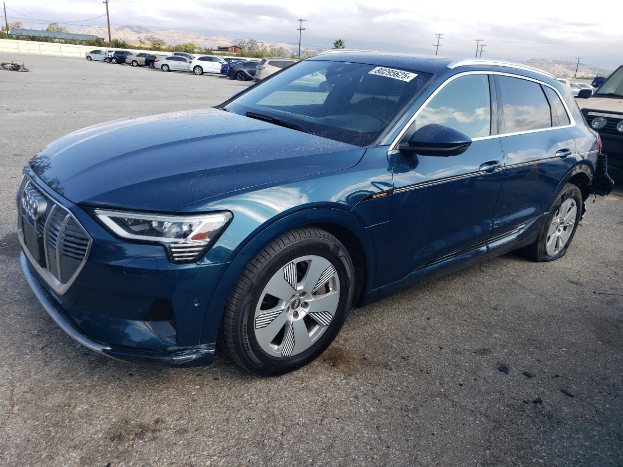 2019 Audi e-tron