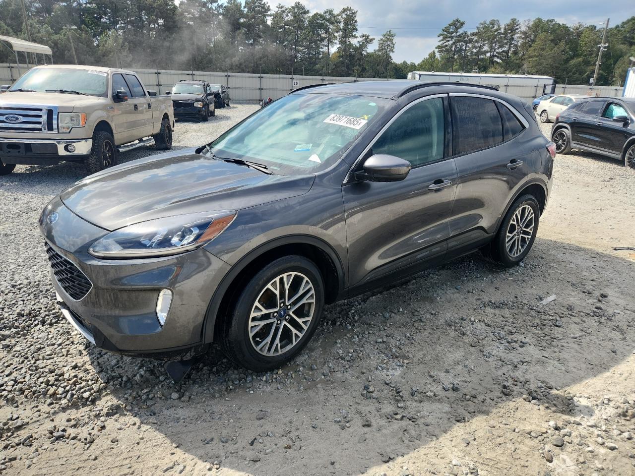 2020 Ford Escape sel SEL