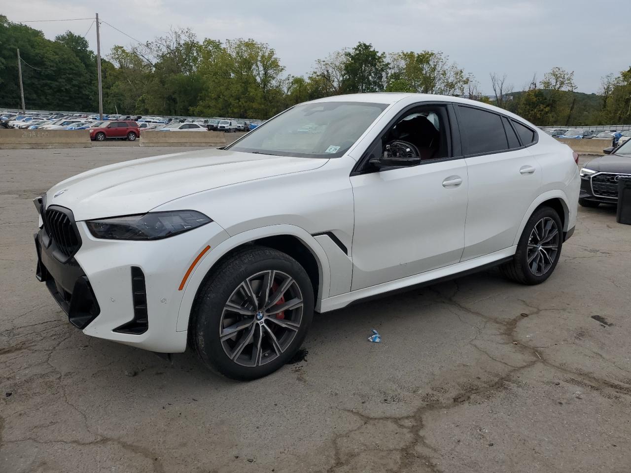 2024 BMW X6