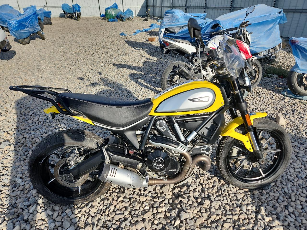 2020 Ducati Scrambler DESERT SLED