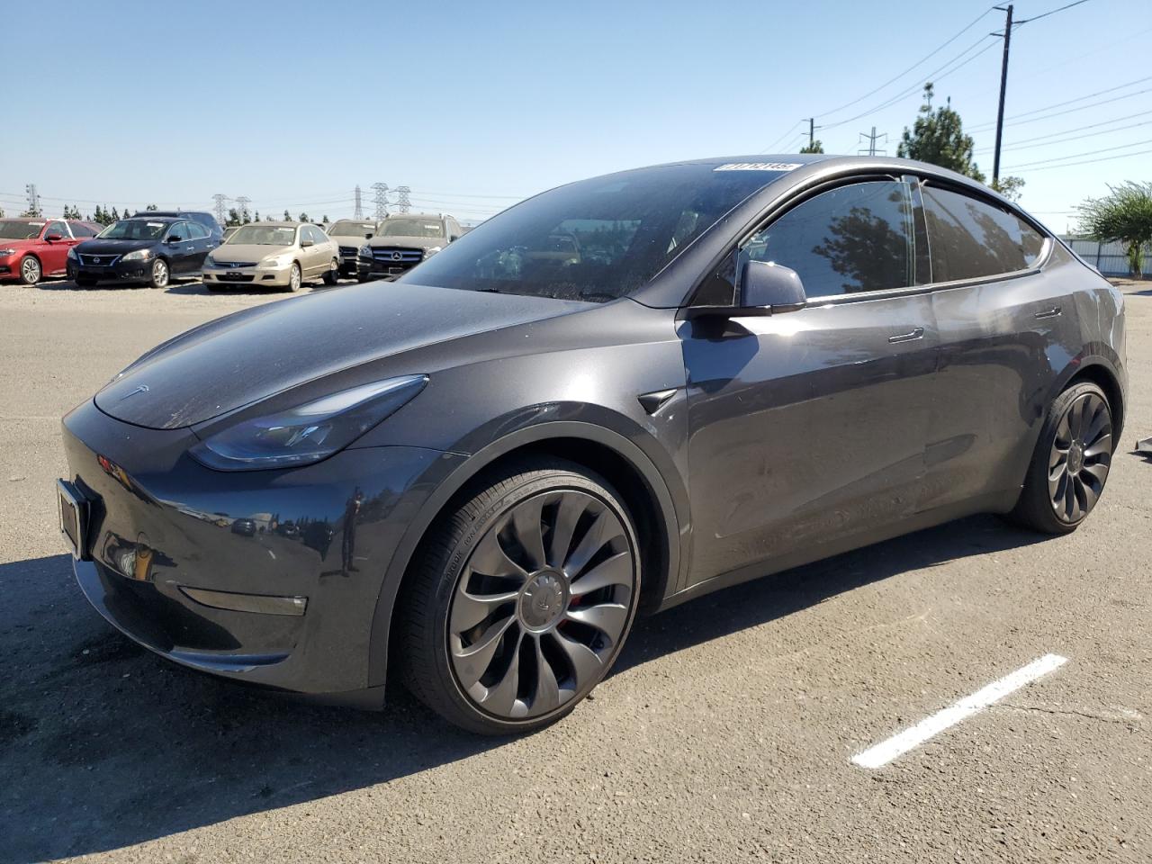 2025 Tesla Model y