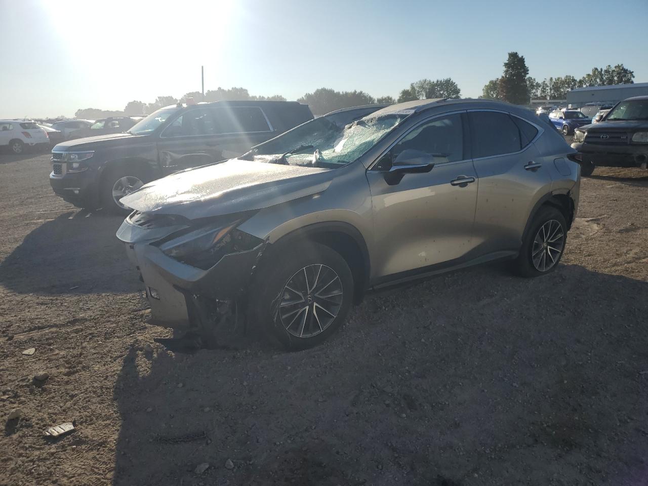 2024 Lexus Nx 350h Base