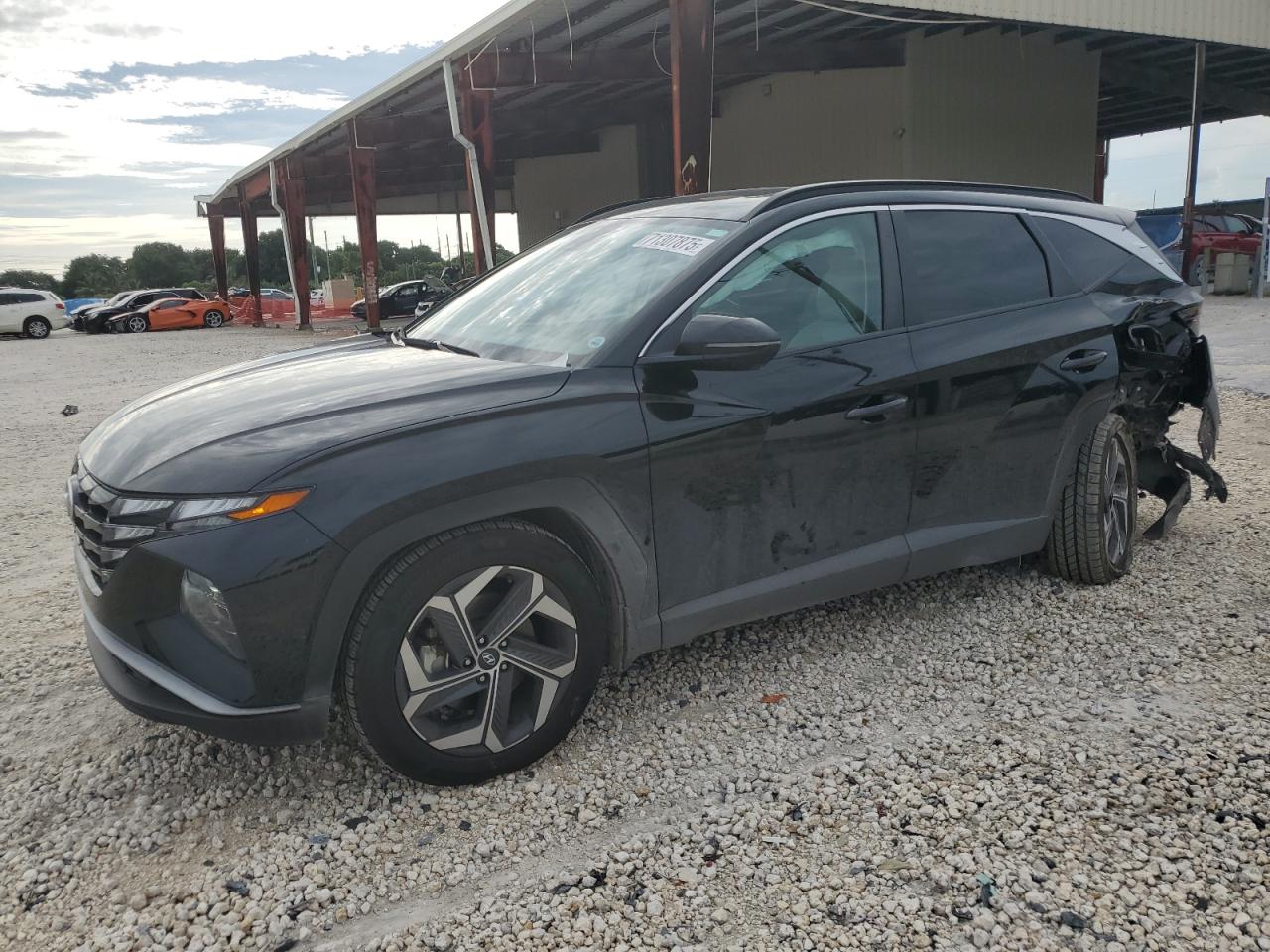 2023 Hyundai Tucson sel SEL