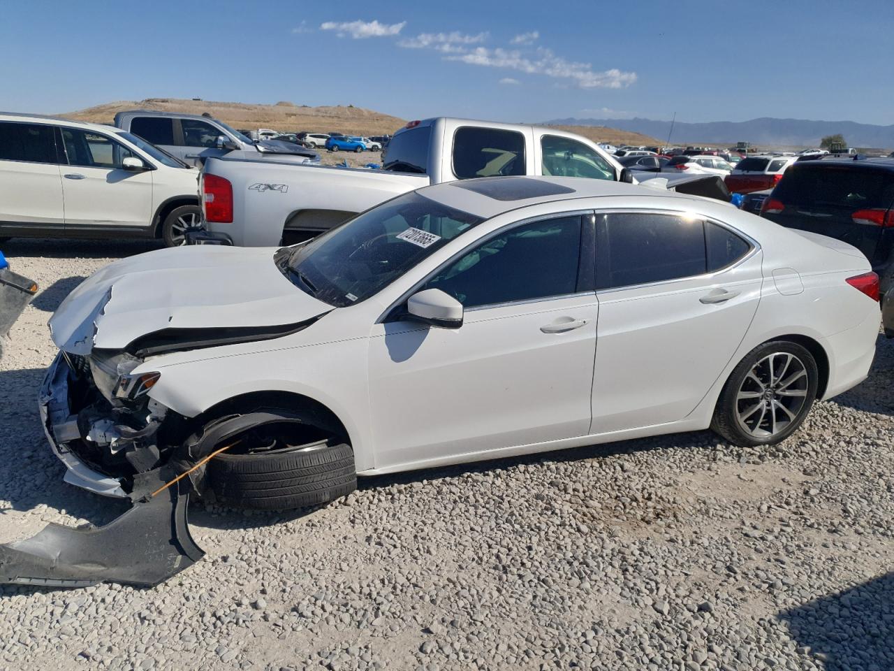 2019 Acura TLX