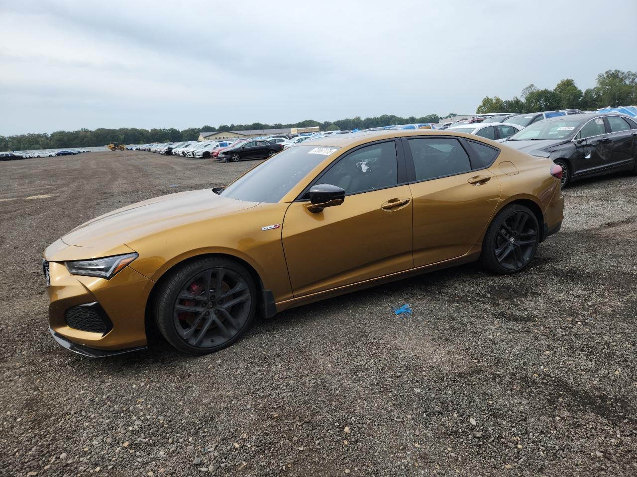 2024 Acura TLX