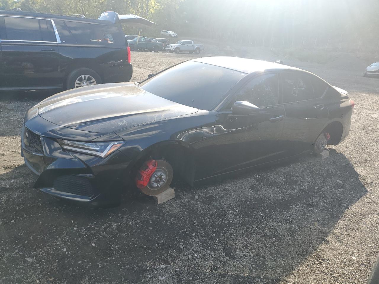 2023 Acura Tlx Type S