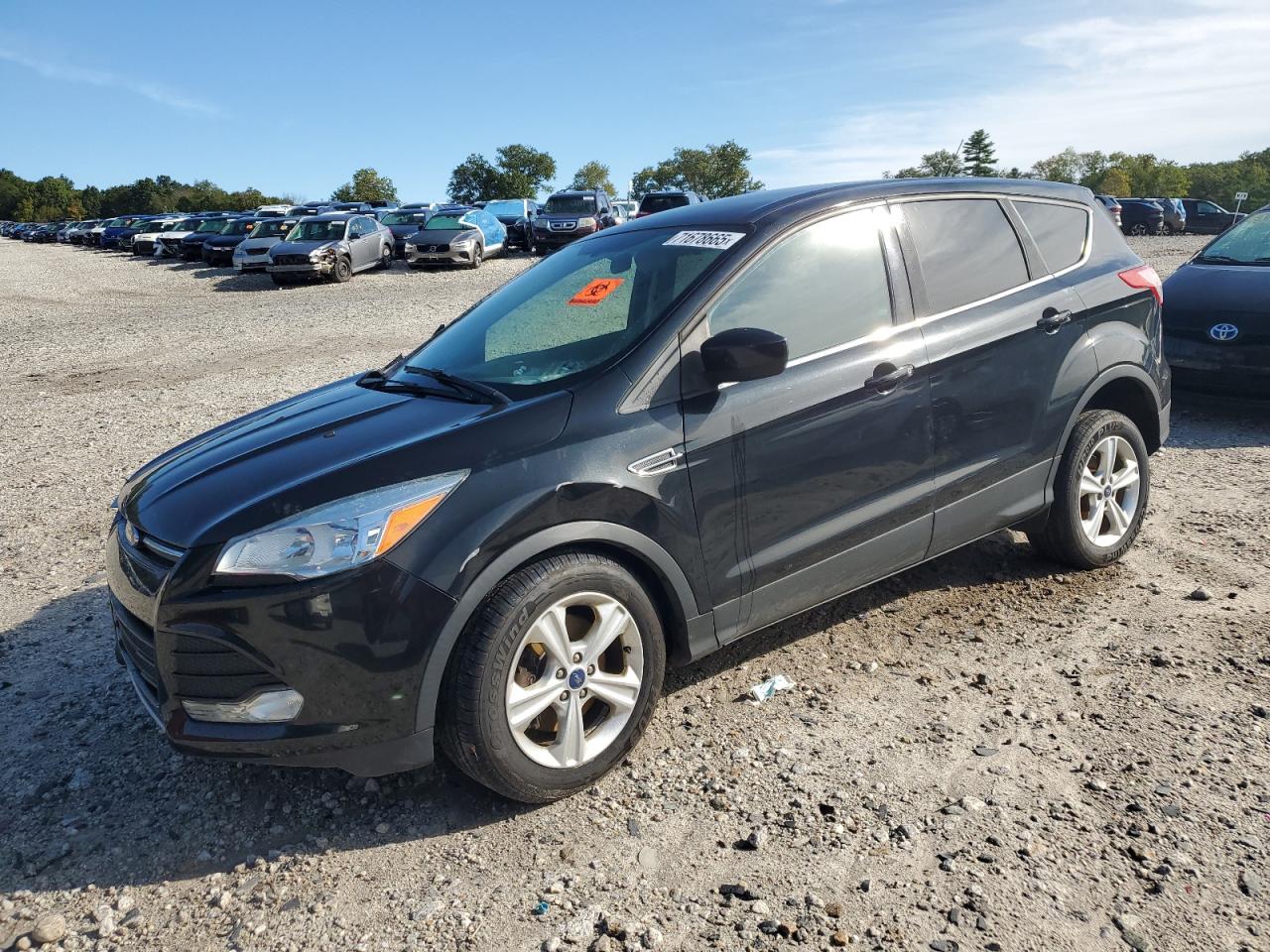 2014 Ford Escape se SE