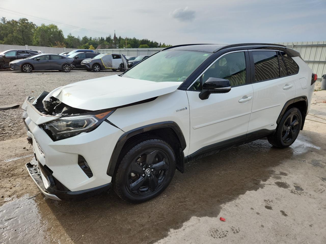2019 Toyota RAV4 XSE XSE