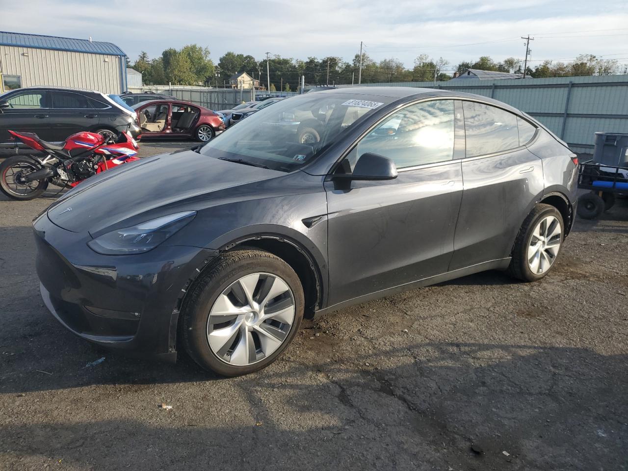2024 Tesla Model y