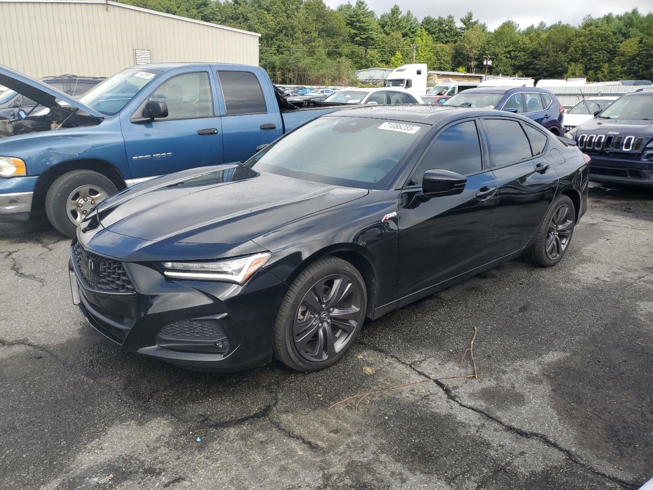 2023 Acura Tlx a-spec A-SPEC